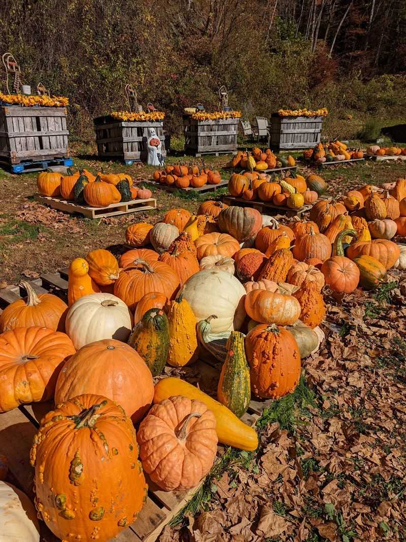 Seasonal Produce Changes With The High Country Calendar