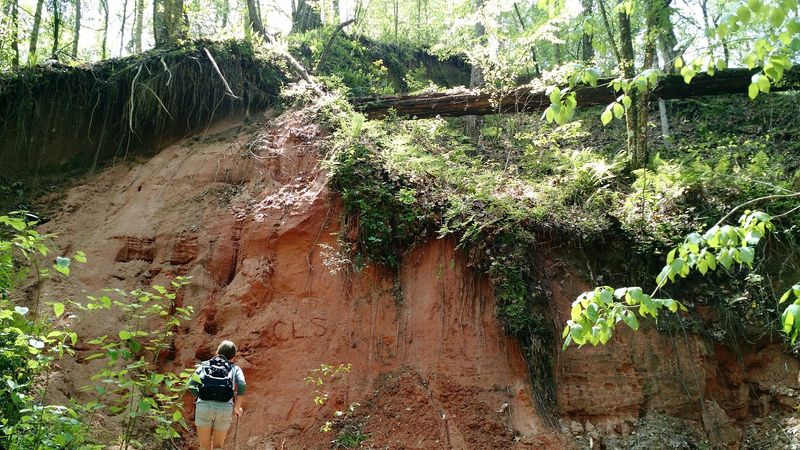 Why This Riverbank Adventure Is Worth It