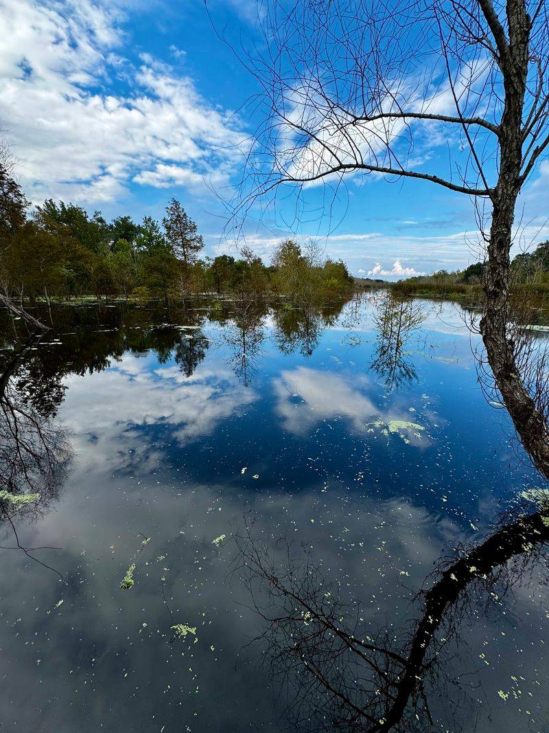 Why This Refuge Is Worth The Stop