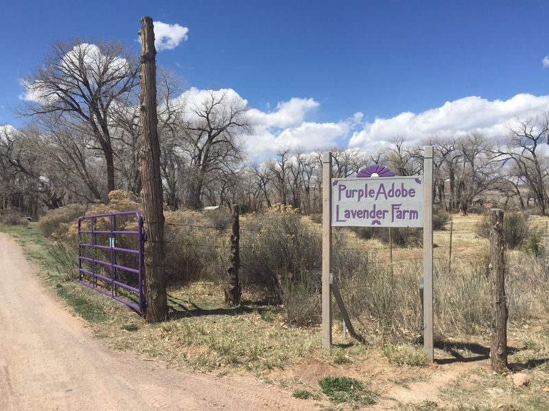 Finding Your Way to This Roadside Gem