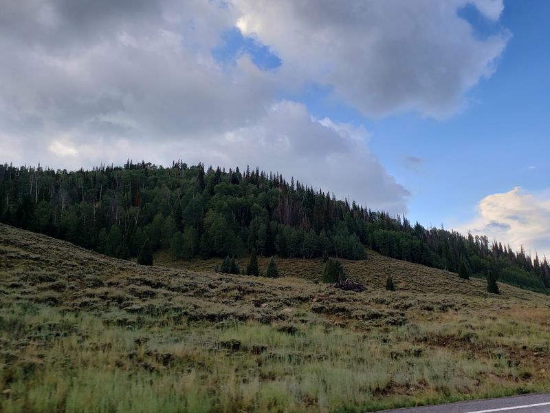Eccles Canyon Adds A More Tucked Away Feel