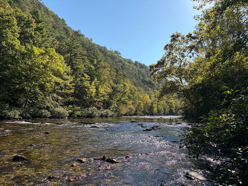 Monroe County 