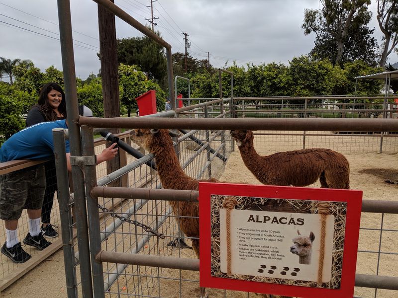 Underwood Family Farms, Somis, CA