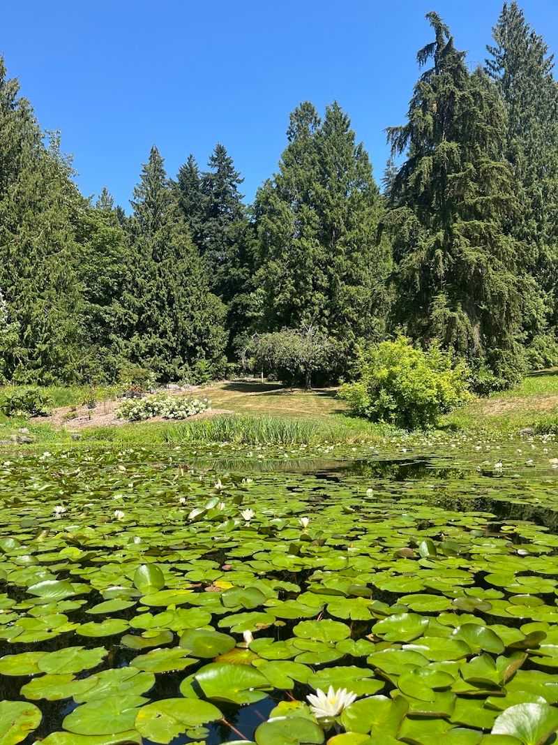 Turtle Pond Offers A Quiet Pause