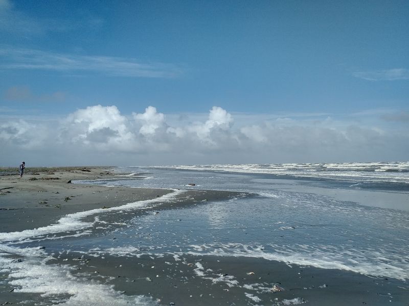 Elmer’s Island