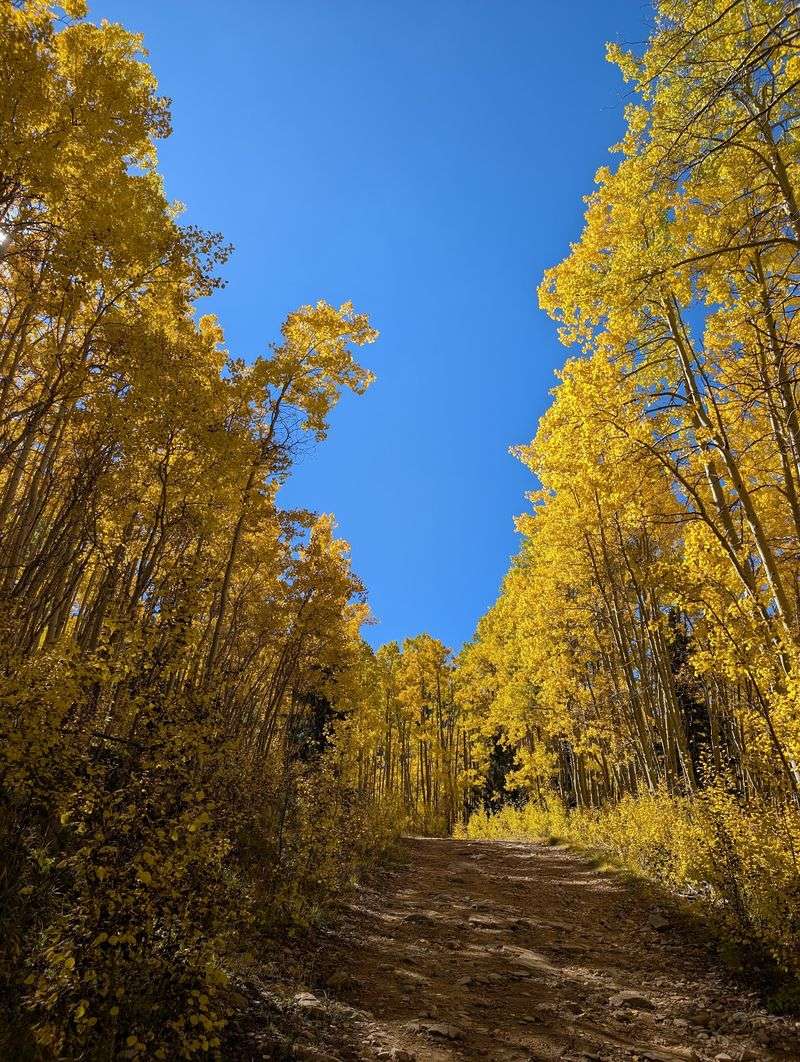 East Circle Trail, Santa Fe