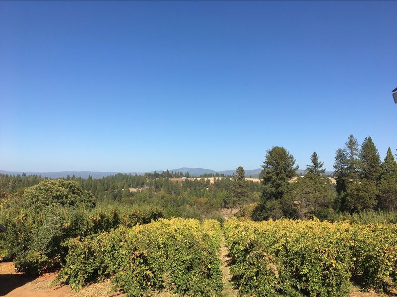 Goldbud Farms - Apple Hill # 39, Placerville, CA