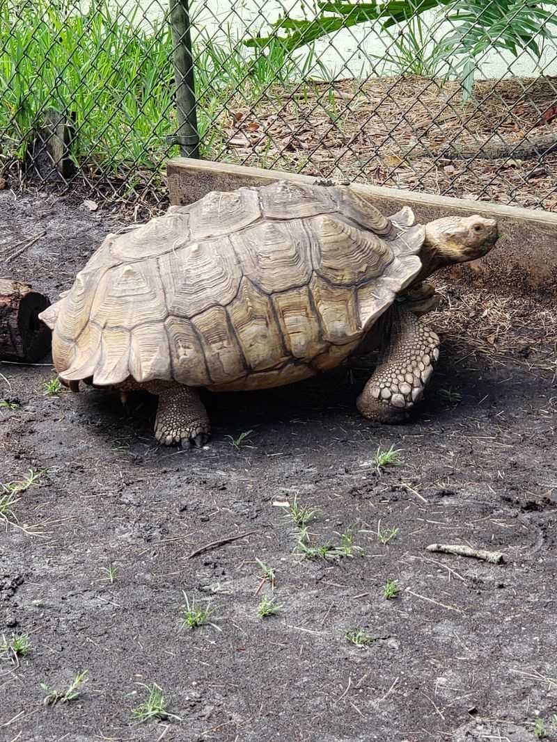 Guided Wildlife Programs Keep The Visit Moving