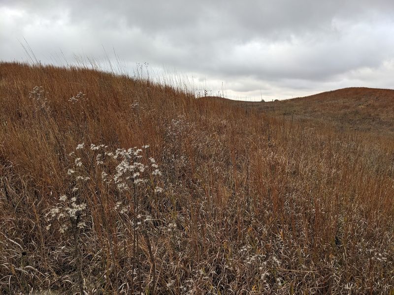 Cayler Prairie State Preserve, Spirit Lake