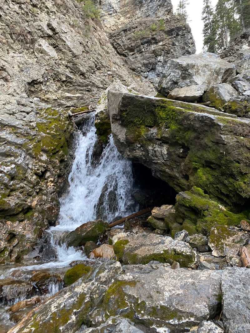 Donut Falls Summer Trailhead