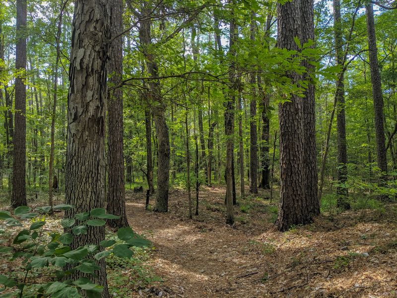 The 31-Mile Sandstone Trail For Serious Walkers