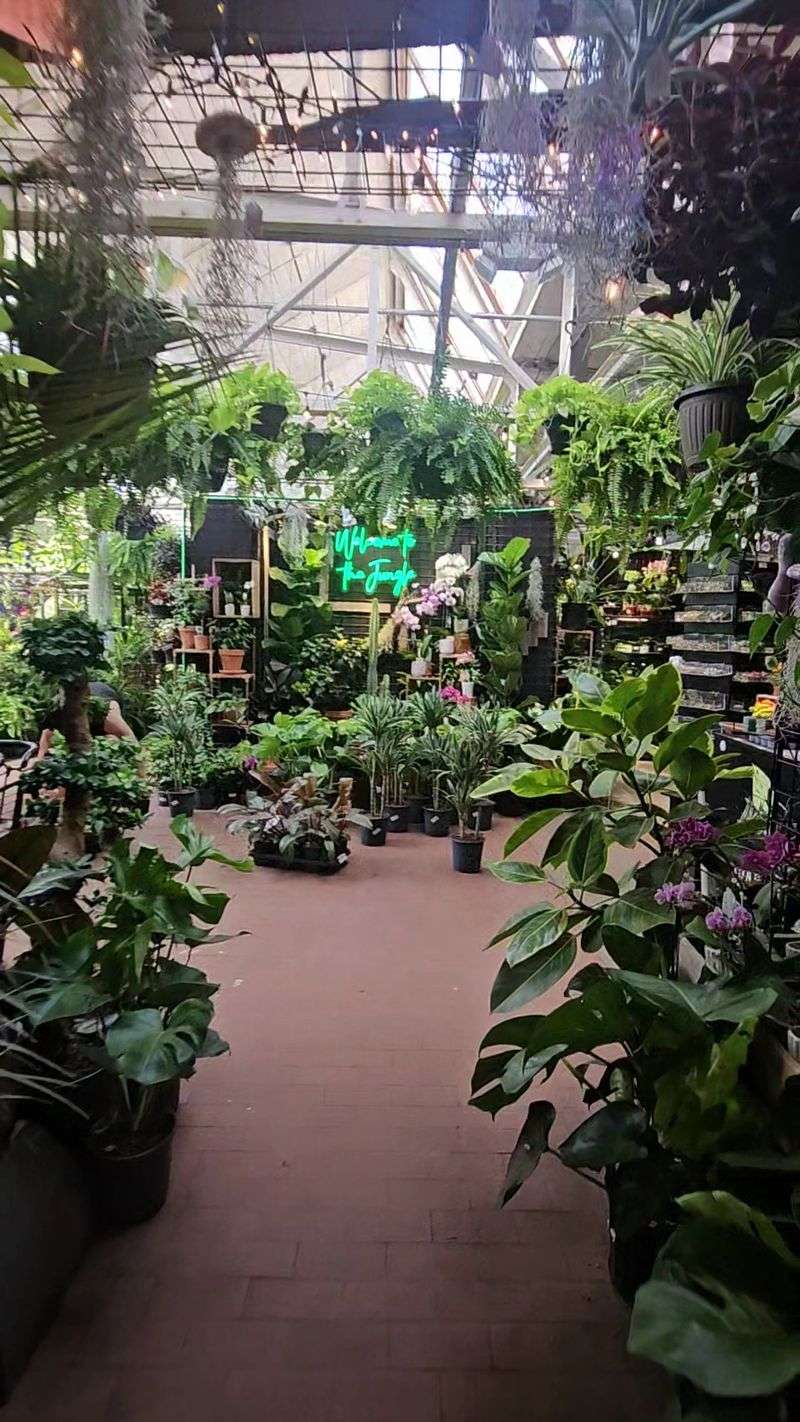 Jungle Gardens