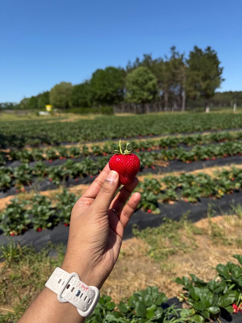 Start With Strawberries If You Can