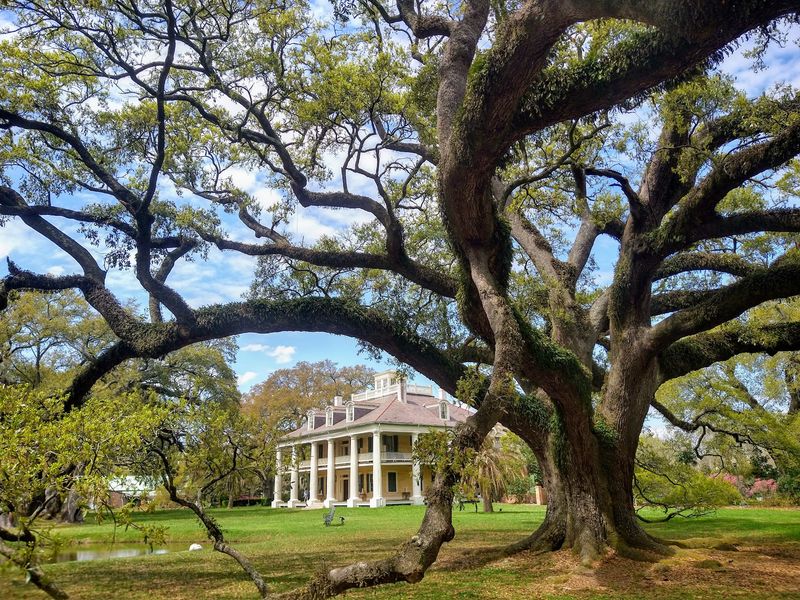 Houmas House Estate And Gardens