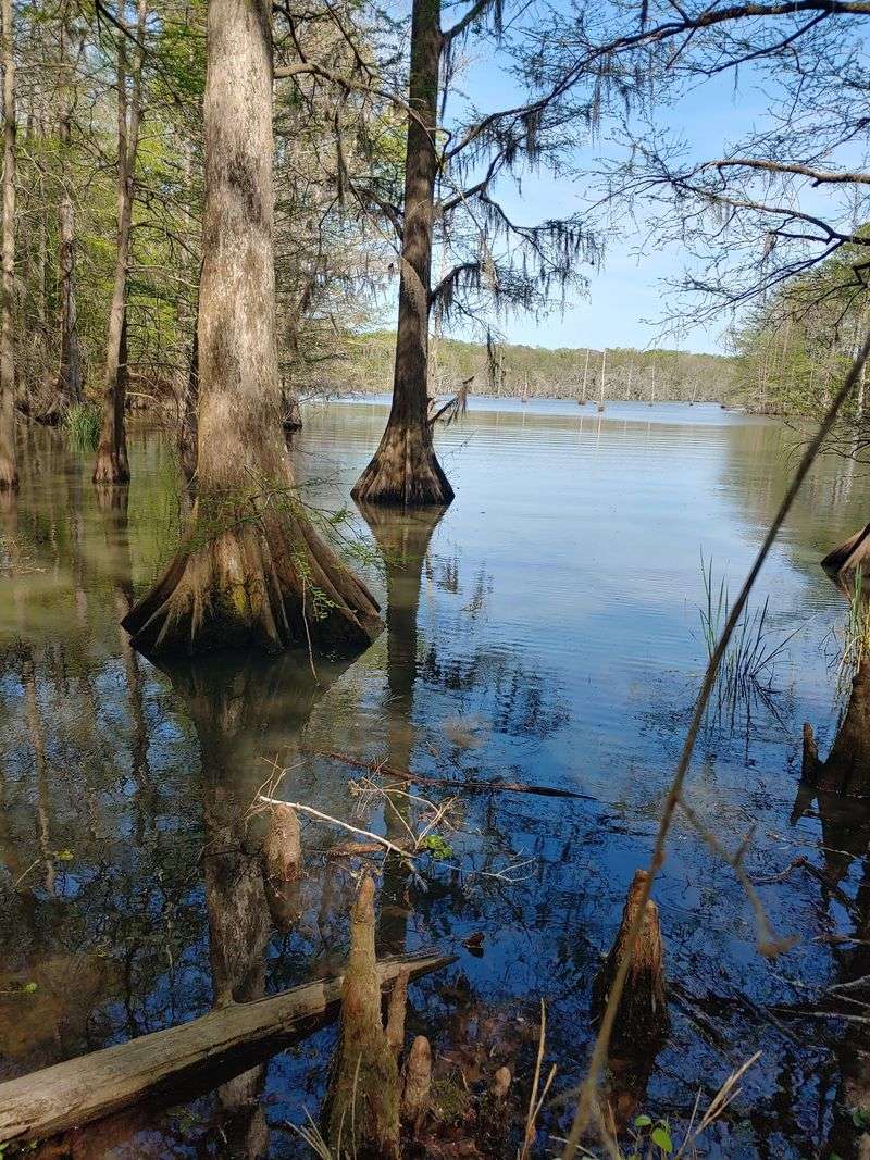 Chicot State Park
