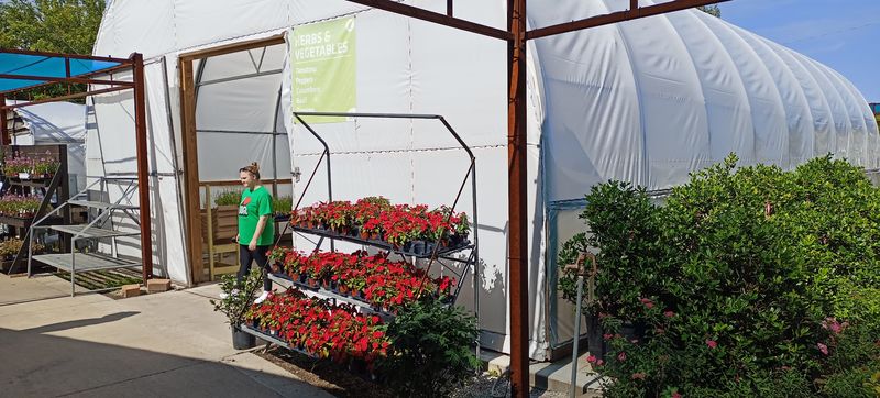 Seeds, Vegetable Starts, And Edible Garden Supplies