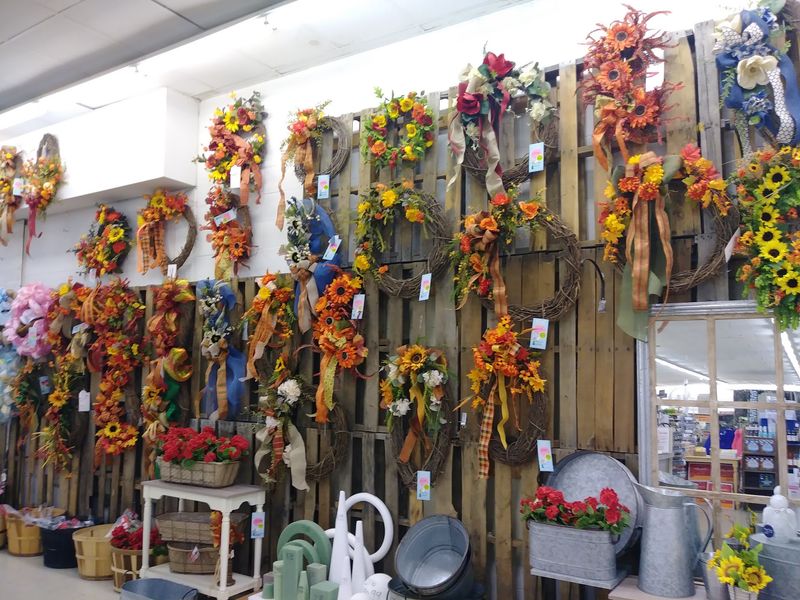 Pots And Planters Come In A Wide Mix Of Styles