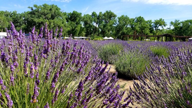 A Relaxing Detour That Suits Slow Travelers