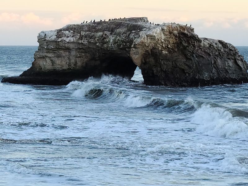 Natural Bridges Tidepools