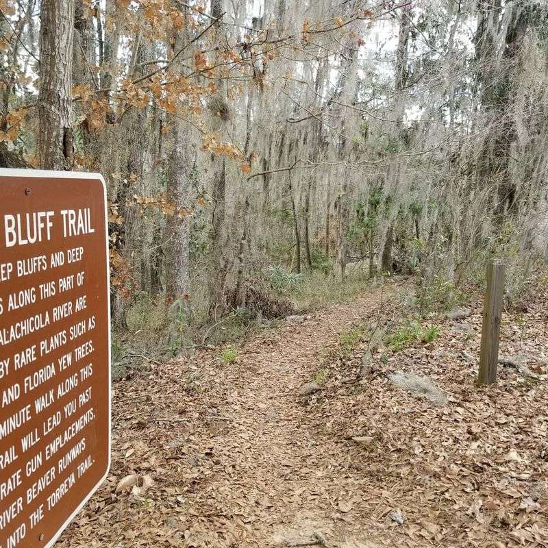 Torreya State Park, Bristol, FL