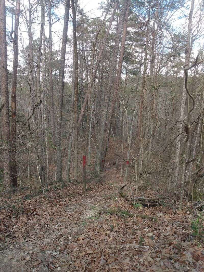 Rustic Trail Clues Matter Here