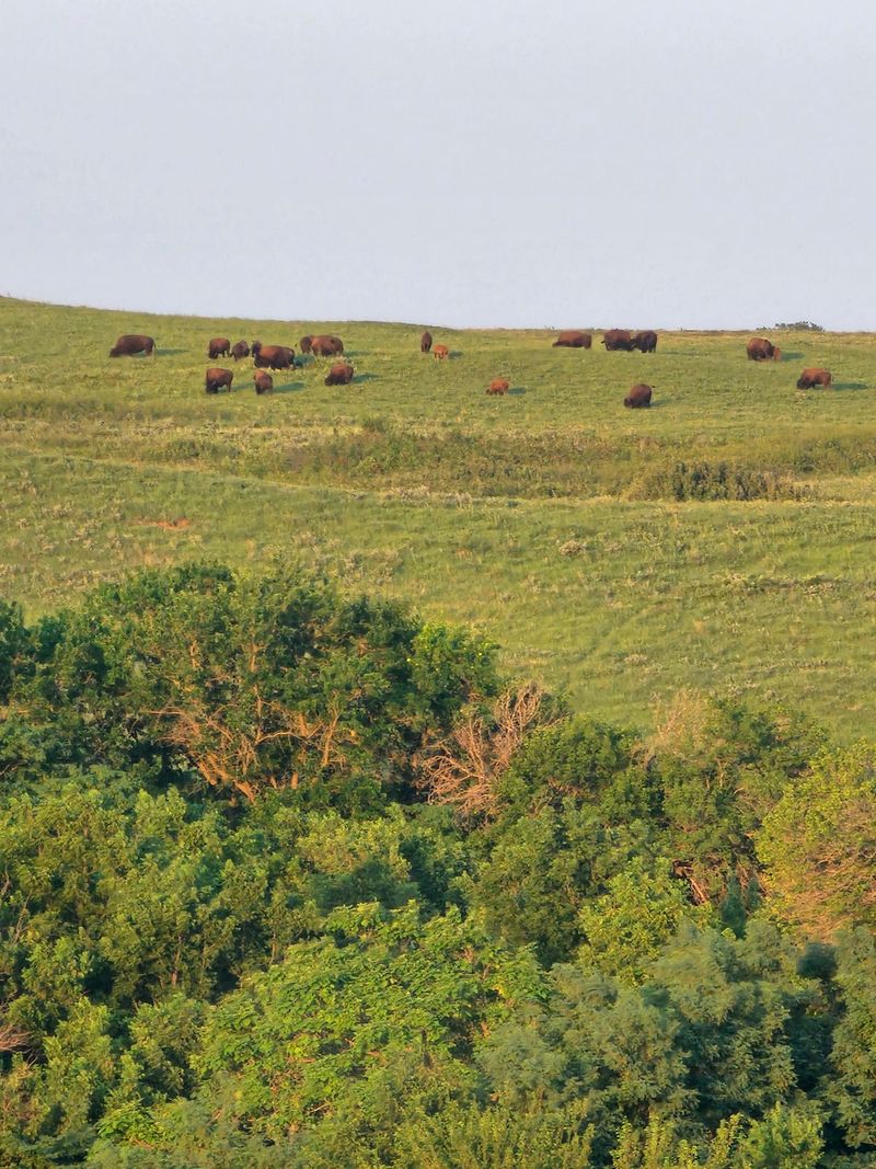 Maxwell Wildlife Refuge, Canton