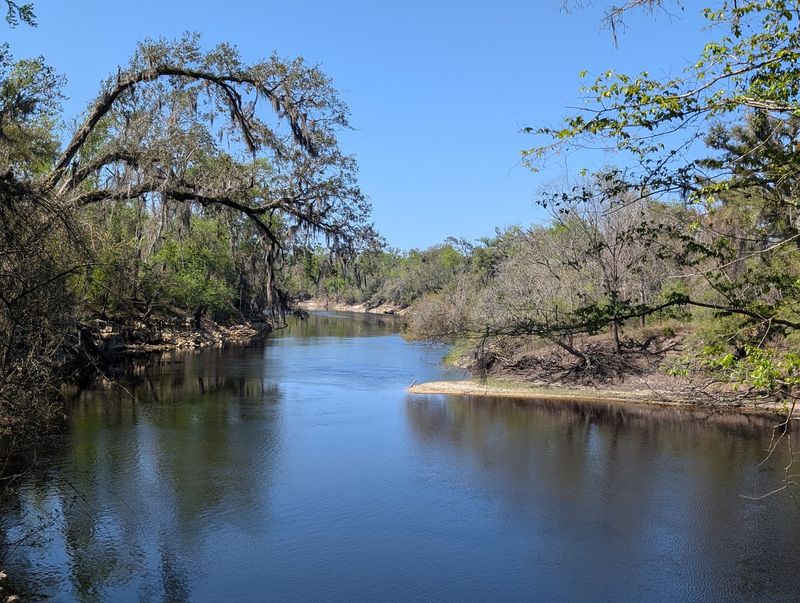 Suwannee River State Park, Live Oak, FL