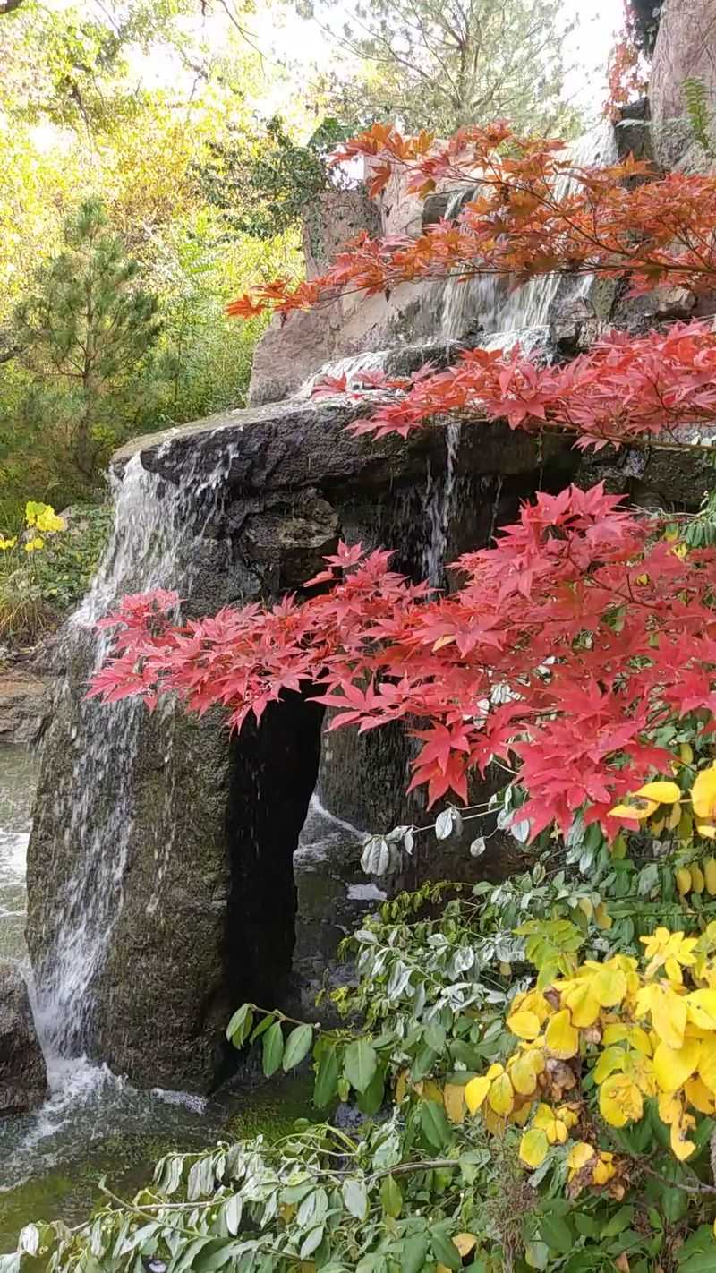 Every Season Paints Its Own Picture