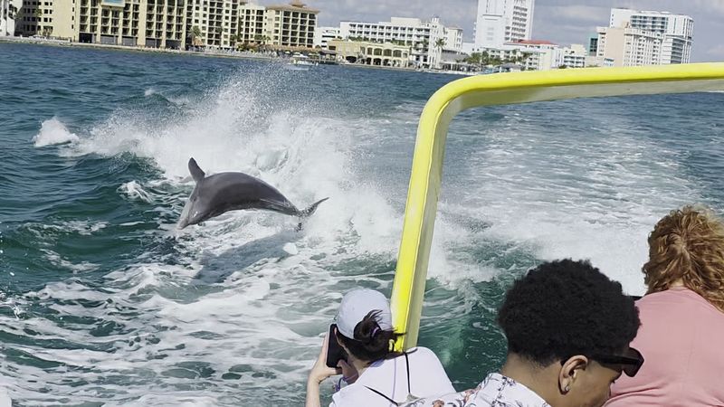 Sea Screamer of Clearwater, Clearwater Beach, FL