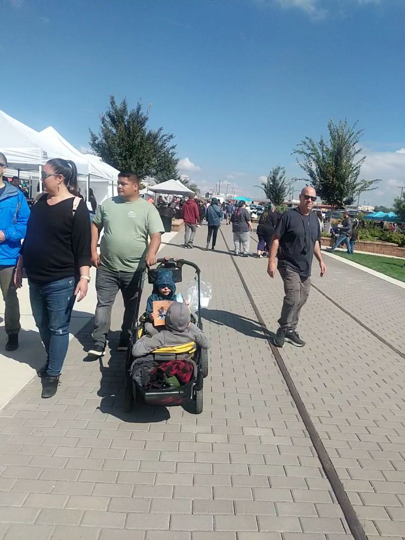 A Relaxed, Family-Friendly, Dog-Welcoming Vibe