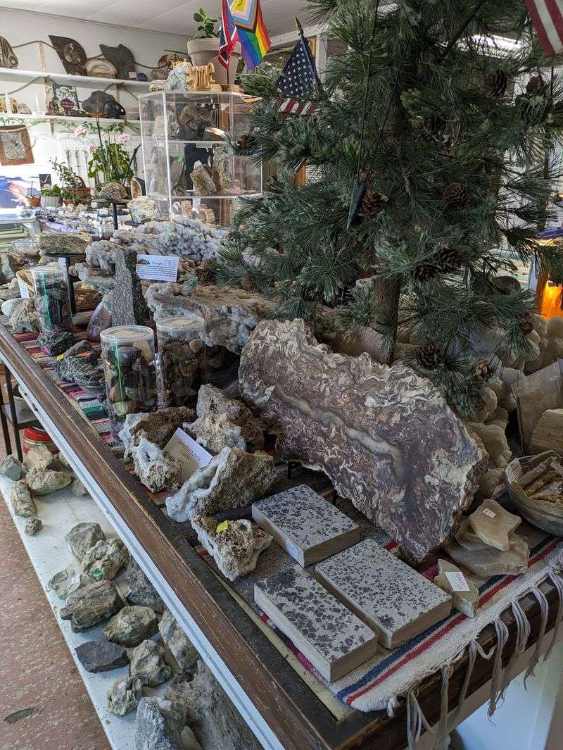 Rough Rock, Fossils, And Petrified Wood Fill The Shelves