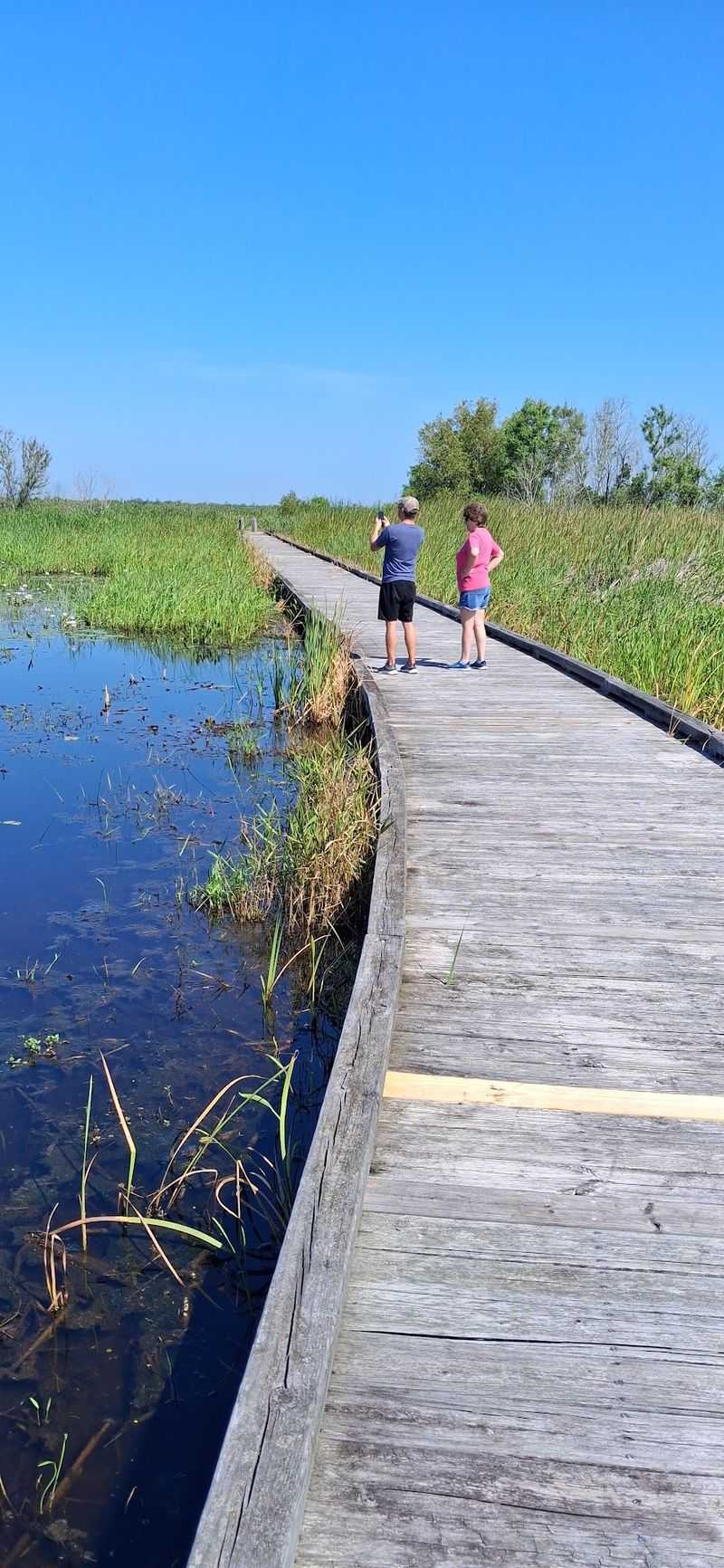 Pintail Boardwalk