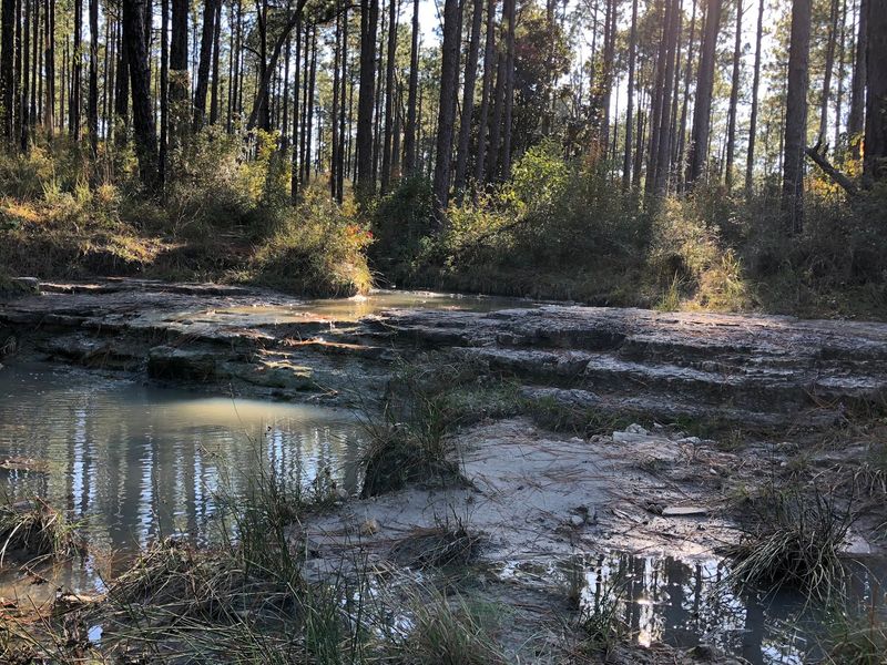 Kisatchie Falls And Its Sandy Little Waterfalls
