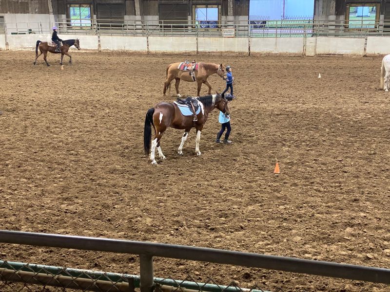 Remember That Horses Anchor A Community Here