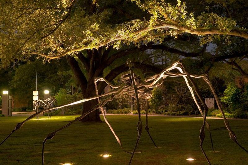 Meet The Spider Without Rushing