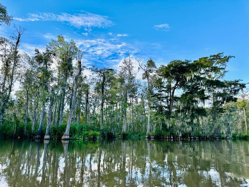 Pearl River Swamp Tours, Slidell