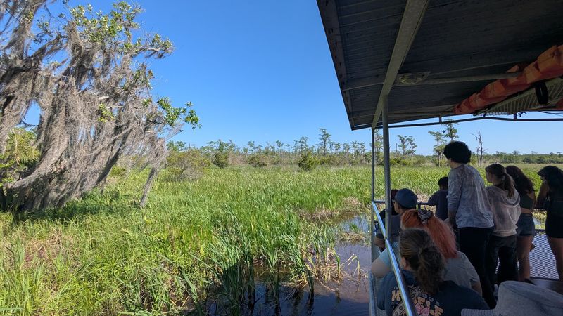 Jean Lafitte Swamp Tour, Marrero, LA