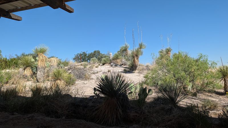 Living Desert Zoo And Gardens State Park, Carlsbad