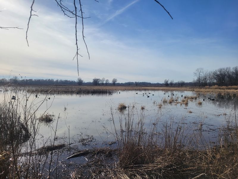 Neosho River, Neosho Wildlife Area near St. Paul