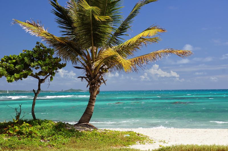 Grand Terre Island