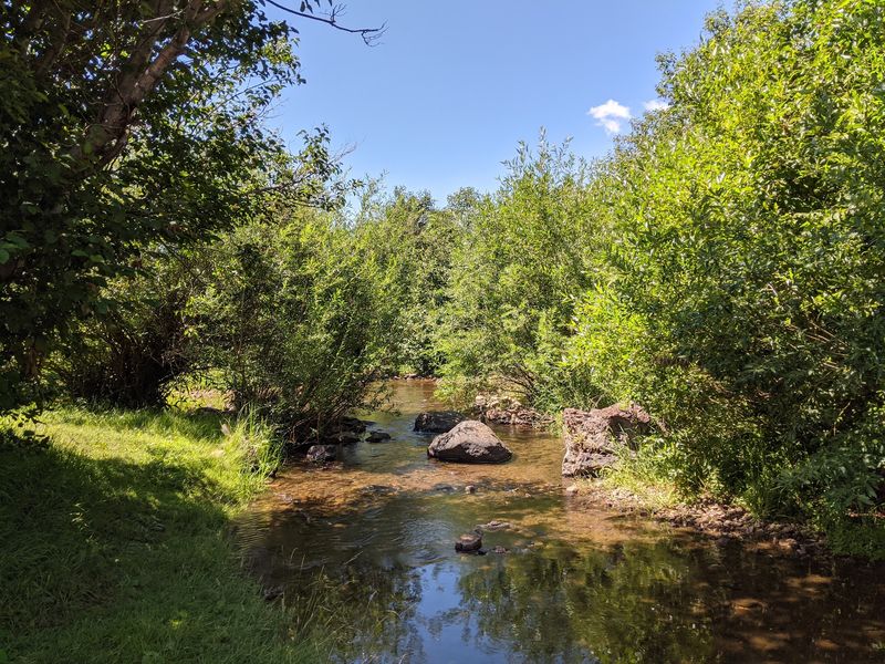 Coyote Creek State Park, Guadalupita
