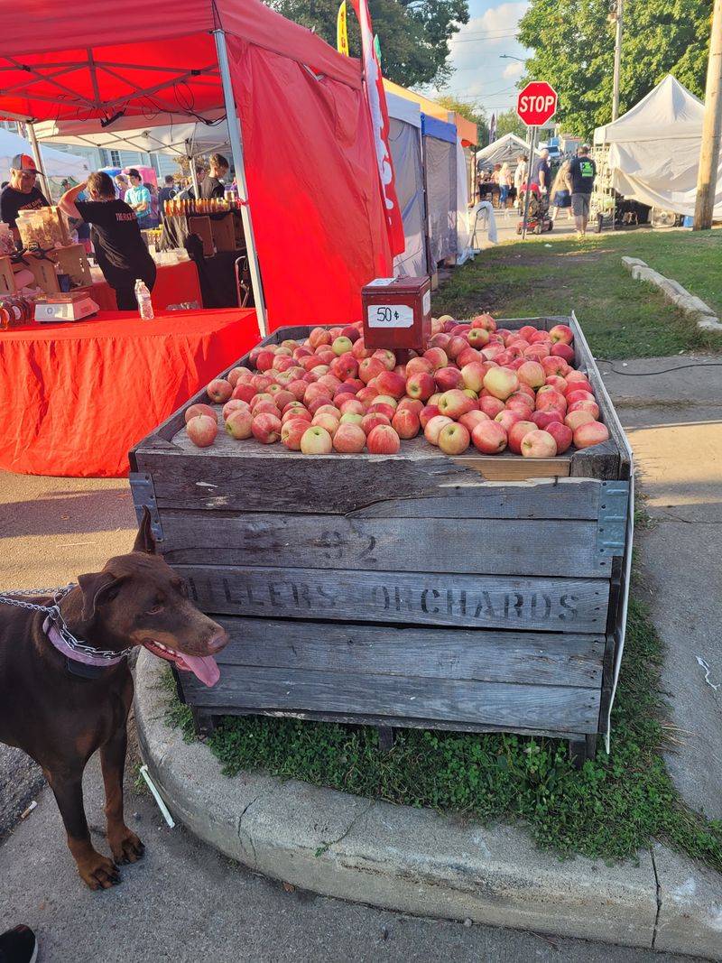 Nappanee Apple Festival