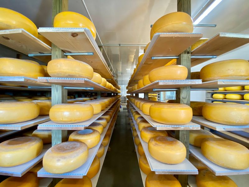 Frisian Farms Cheese House, Leighton