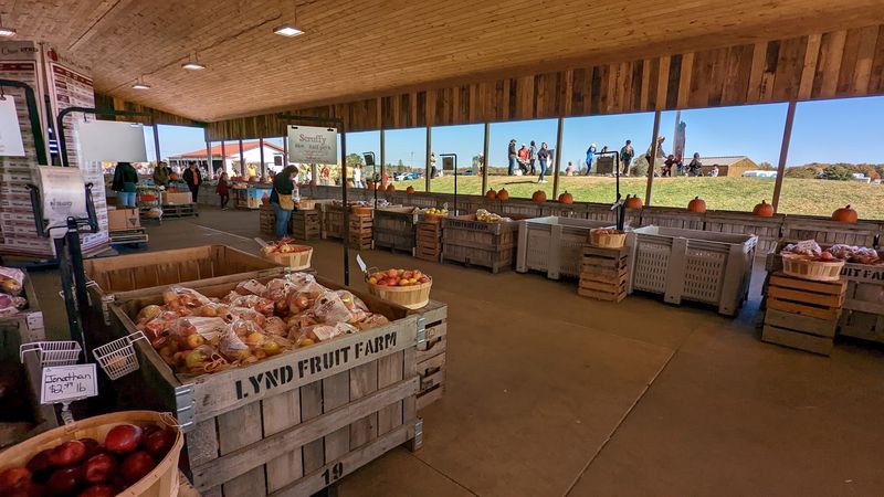 Pick-Your-Own Apples, The Fun Way To Shop