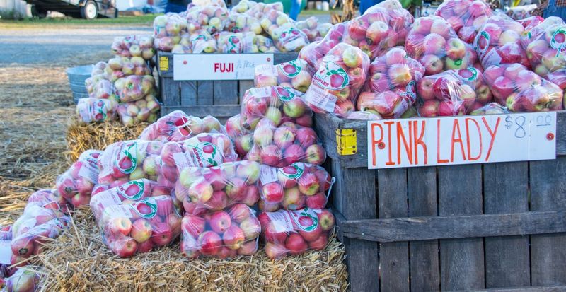 Apples Still Connect The Festival To Gilmer County