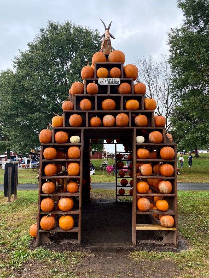 Hayrides And Pumpkins Put Fall Front And Center