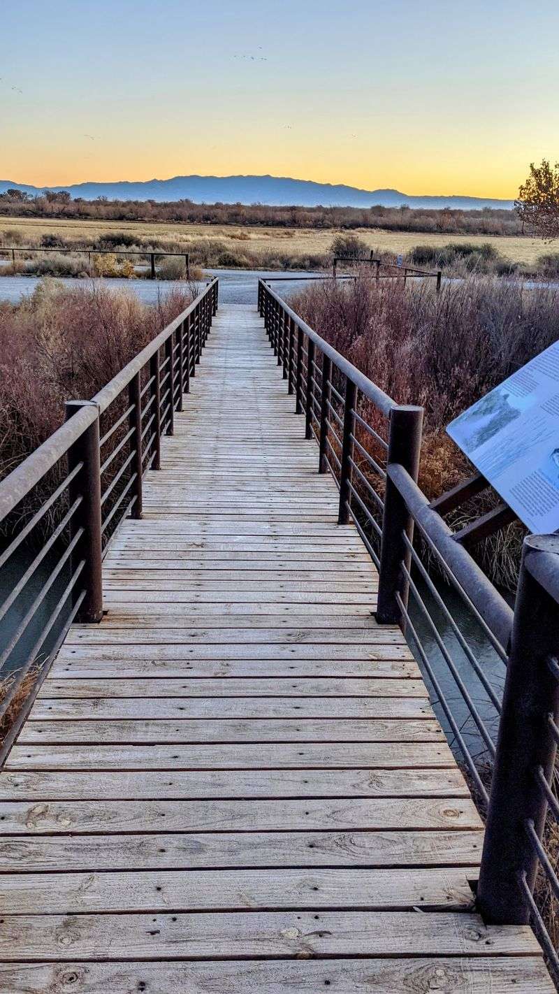Who Will Love This Quiet Escape