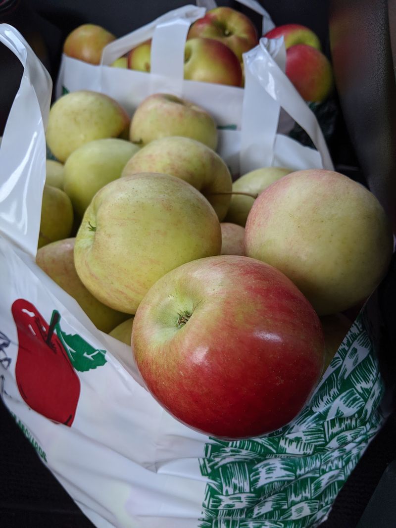 Apple Varieties Change As The Harvest Moves Along