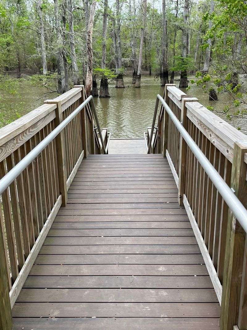 Short Walks Make Wildlife Watching Easier