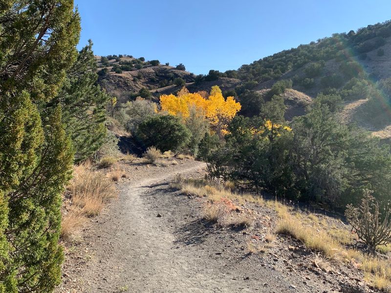 Cerrillos Hills State Park, Cerrillos